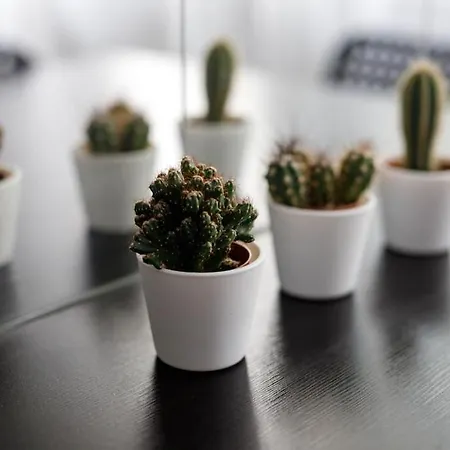 Close-central - Old Town - Comfortable And Cozy - W3 Wroclaw