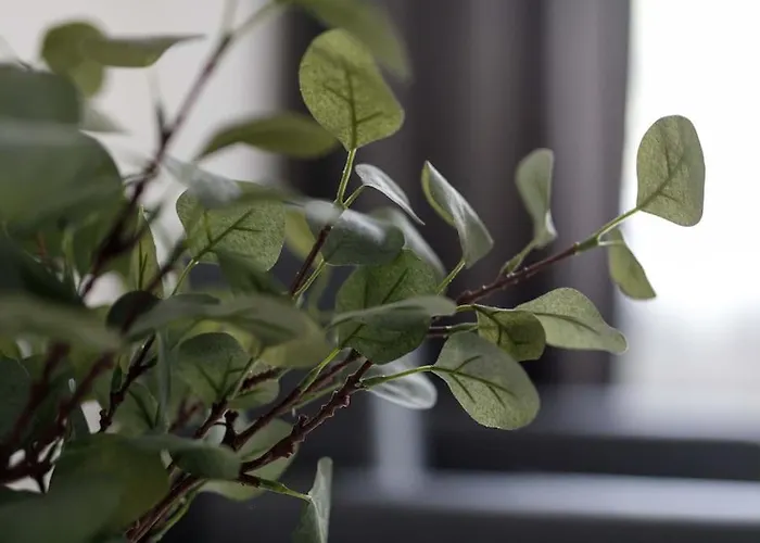 Close-central - Old Town - Comfortable And Cozy - W3