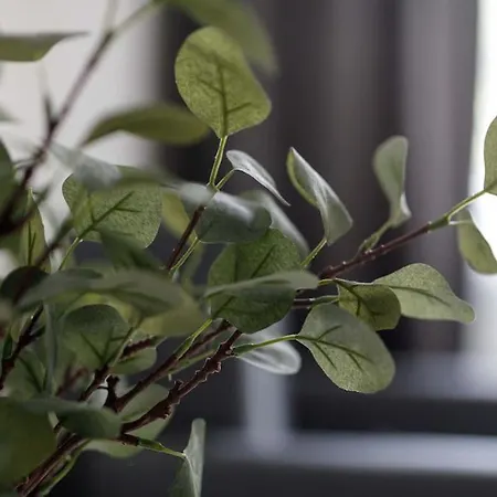 Close-central - Old Town - Comfortable And Cozy - W3