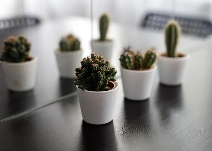 Close-central - Old Town - Comfortable And Cozy - W3 Wroclaw